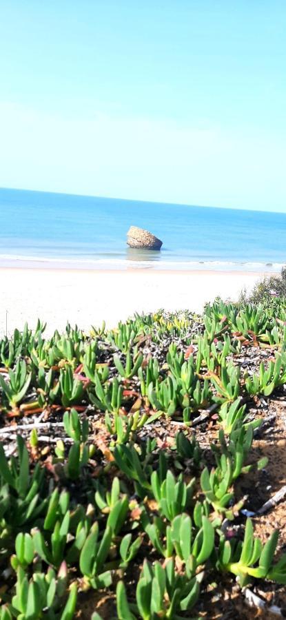 Caracola Beach มาตาลัสกาญาส ภายนอก รูปภาพ